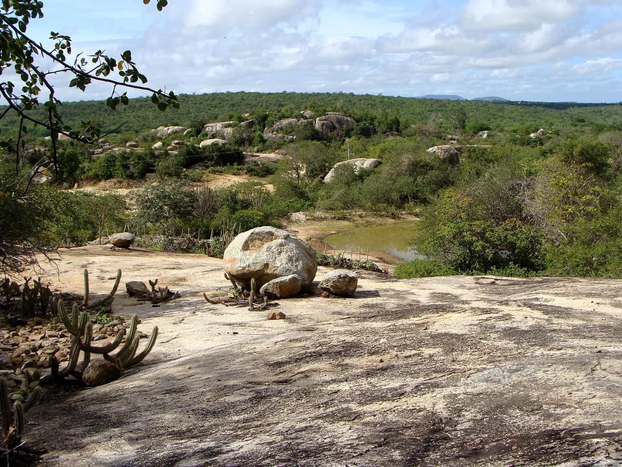 Caatinga 3