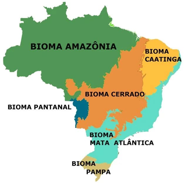 Brazil biomes map