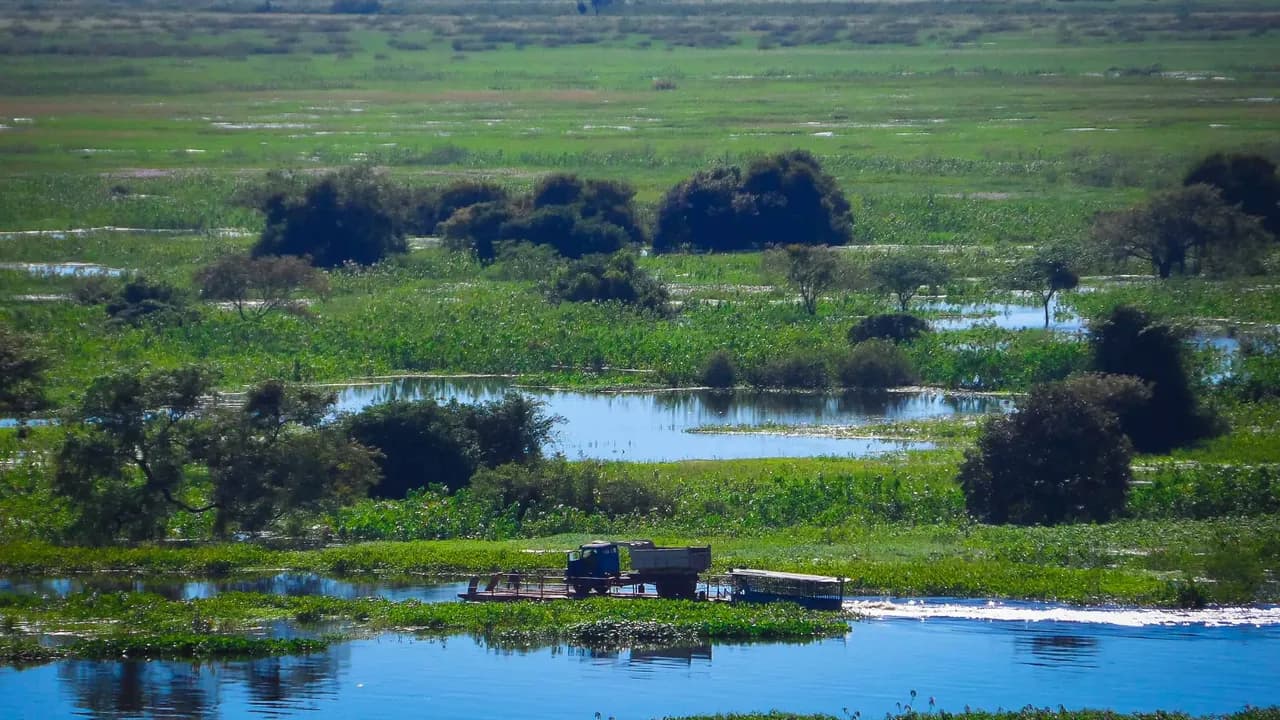 Pantanal 3